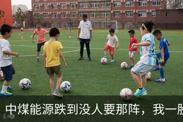 中煤能源跌到没人要那阵，我一股没卖还补了两手