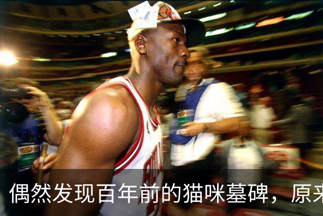 偶然发现百年前的猫咪墓碑，原来被爱过的痕迹，真的不会消失！