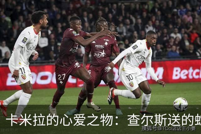 卡米拉的心爱之物：查尔斯送的蛇形项链，戴了20多年和她绝配