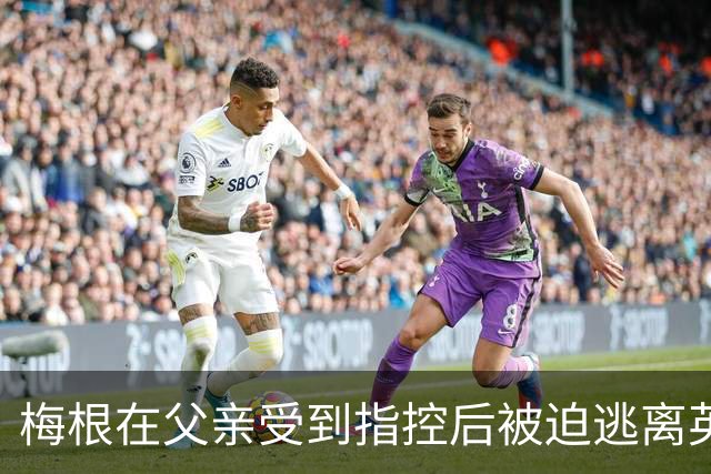 梅根在父亲受到指控后被迫逃离英国，哈里王子和两个孩子同行
