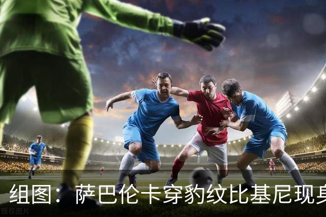 组图：萨巴伦卡穿豹纹比基尼现身海边 展示曼妙曲线